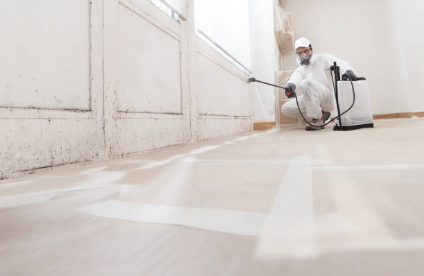 24/7 Emergency Black Mold Remediation experts in Sanibel, FL